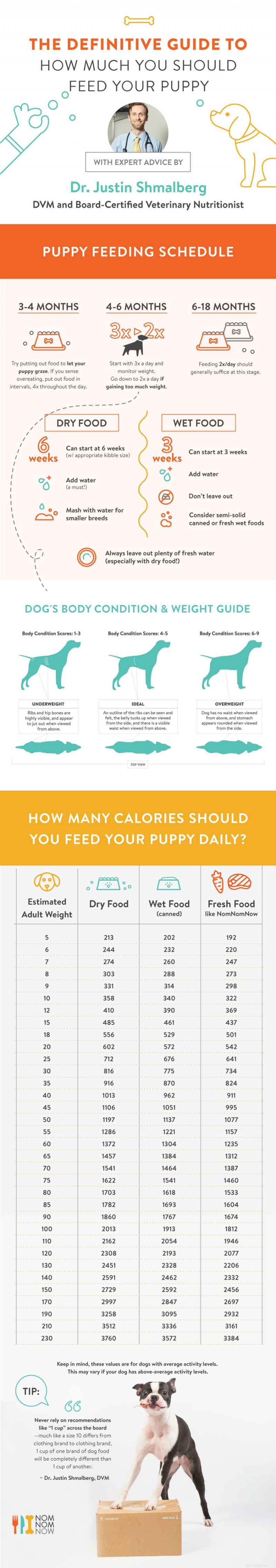The Ultimate Puppy Feeding Guide: Expert Tips for a Healthy Start