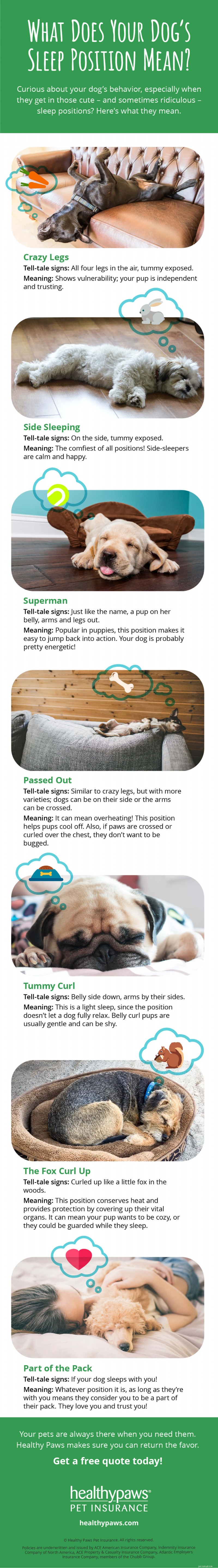 Decoding Your Dog s Sleep Positions: What They Reveal About Their Mood and Health