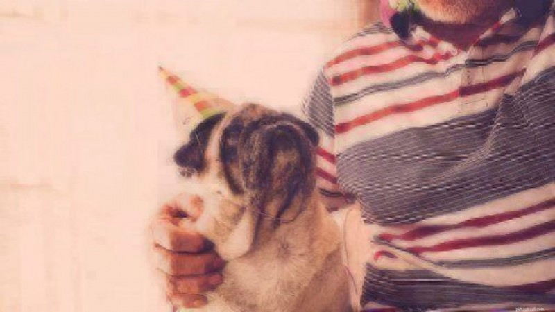 Do Dogs Detect Alcohol? How Your Pet Knows When You re Drunk.