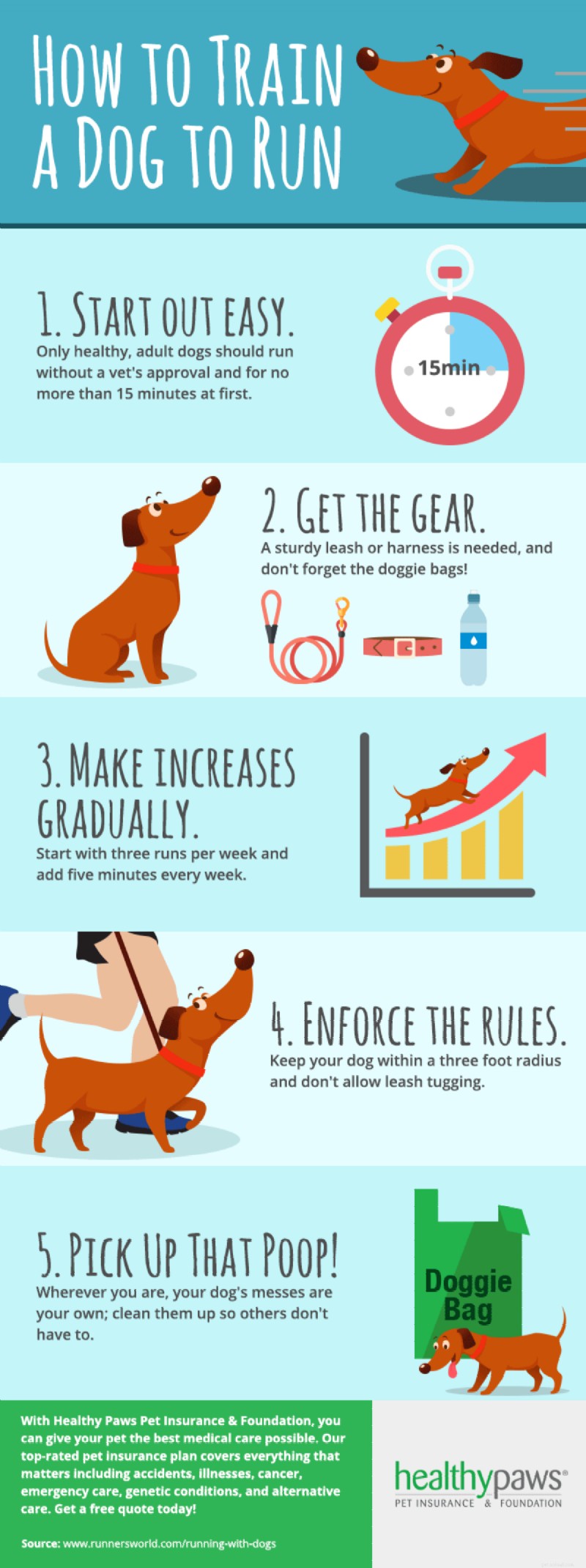Train Your Dog to Run: A Safe, Step‑by‑Step Guide