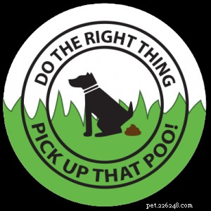 Train Your Dog to Run: A Safe, Step‑by‑Step Guide