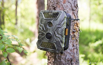 Expert Guide: How to Locate a Lost Dog Quickly and Safely