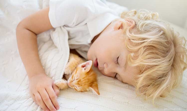 How to Safely Introduce Pets to Children: A Trainer’s Expert Guide
