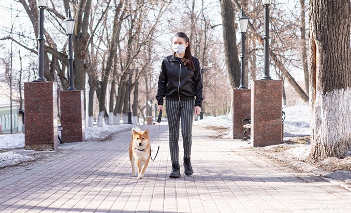 Master Heel Training: Guide to Walking Your Dog with Confidence