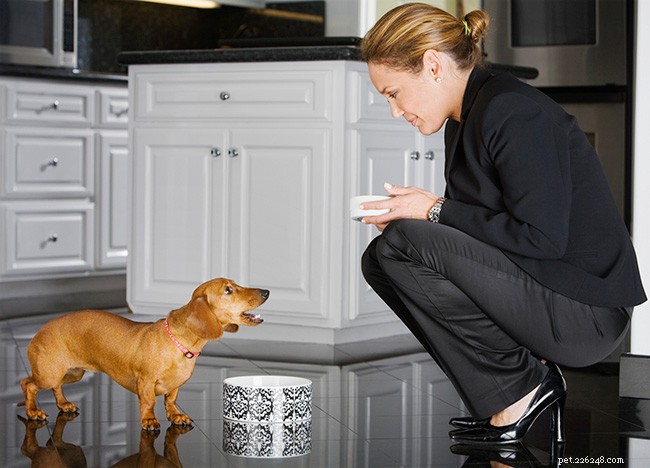 Understanding Dog Barking: Causes & Effective Solutions