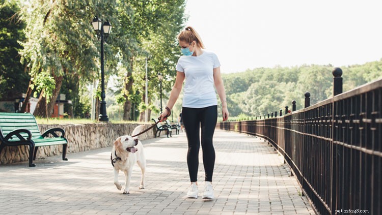 Managing Leash Reactivity in Dogs: Expert Trainer Tips for Calm Walks