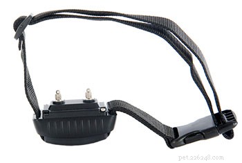 Shock Collars: Why They Damage Your Dog and Your Relationship