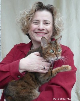 The Real Impact of Your Stress on Cats: What You Need to Know