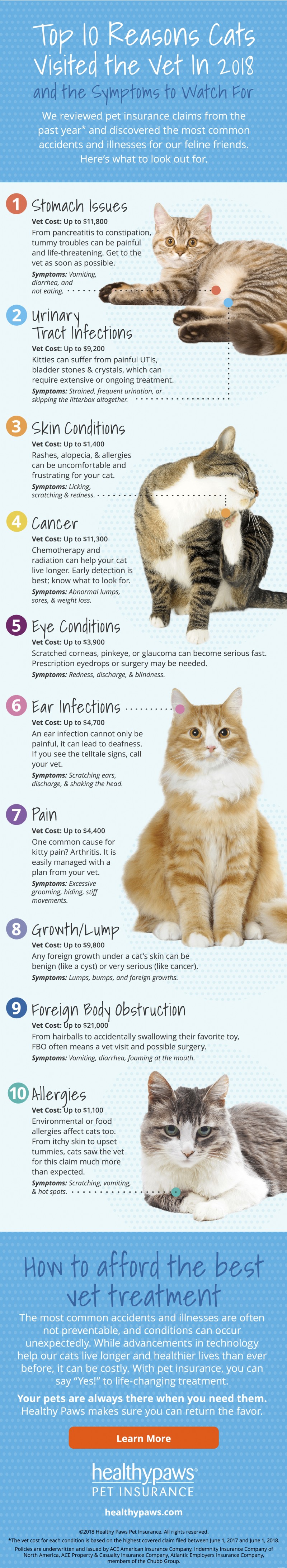 Top 10 Reasons Cats Need Vet Visits – Infographic & Insights