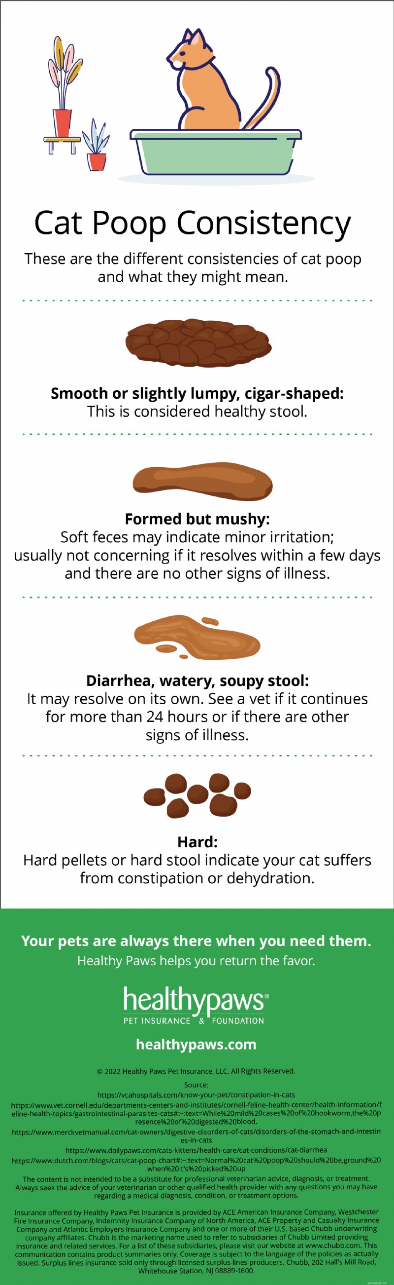 Understanding Your Cat’s Poop: A Veterinarian’s Guide to Health Indicators