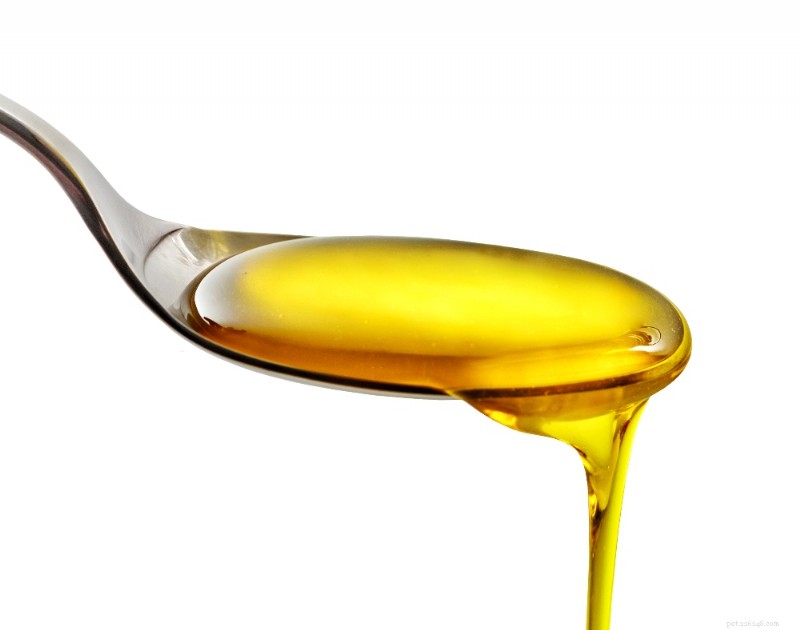 Why Fish Oil Boosts Your Cat’s Health: Proven Benefits & Tips