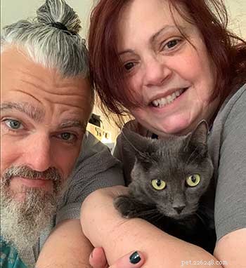 Diagnosing and Treating Sheena the Cat’s Anemia: A Case Study