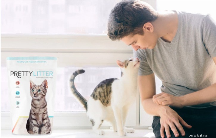 Smart Cat Litter Detects Health Issues Early, Reducing Waste and Odor