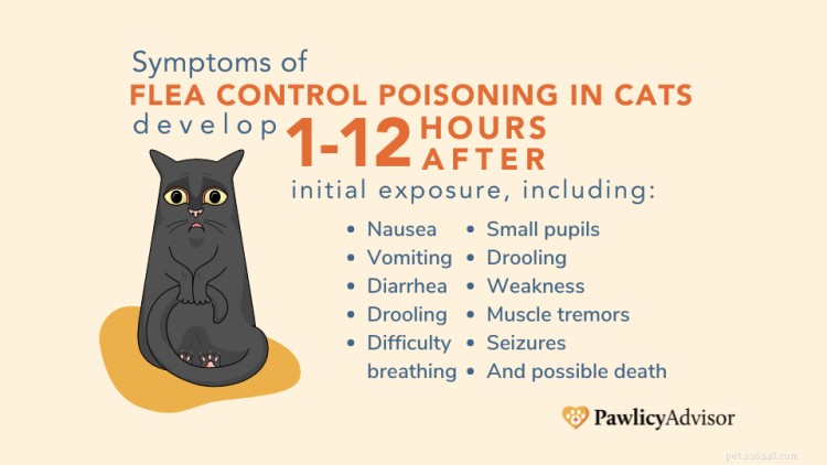 Safe, Effective Ways to Remove Fleas from Kittens