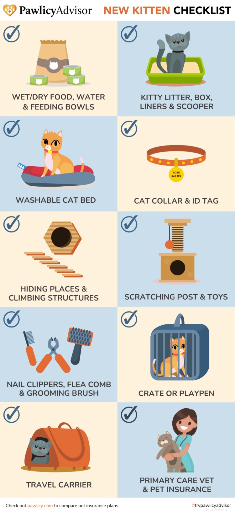 Kitten Essentials 2024: The Complete Buying Guide for New Owners