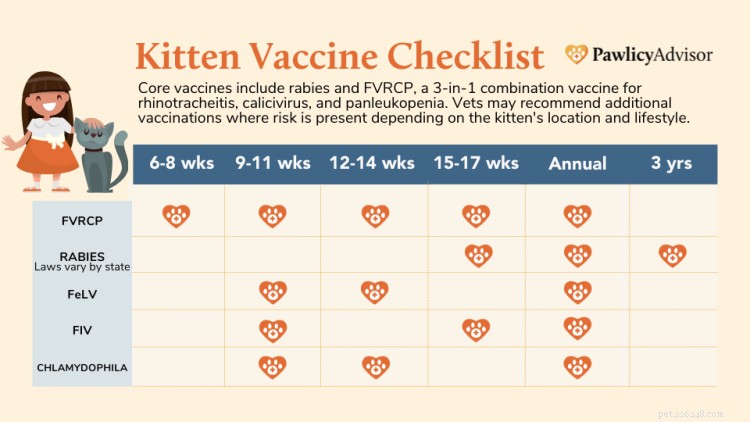 First-Year Kitten Vaccination Schedule: Complete Chart & Timing Guide