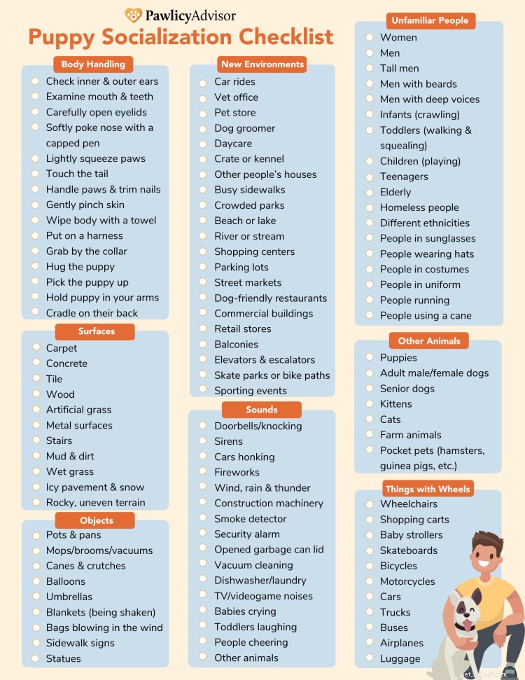 Ultimate Puppy Socialization Checklist: Build Confidence & Prevent Behavioral Issues