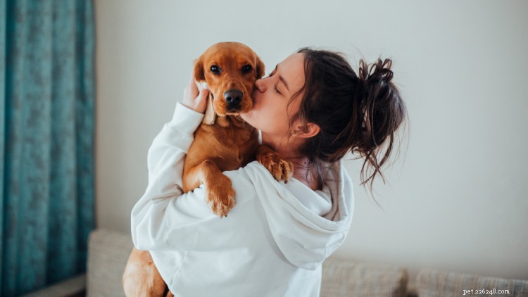 Choosing the Ideal Food for Your Large‑Breed Puppy: Vet‑Approved Tips