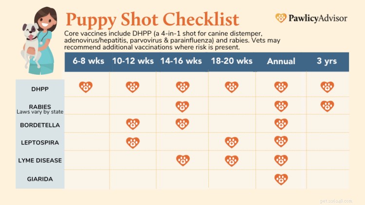 Complete Puppy Vaccine Schedule: First-Year Shots & Timing – PDF Guide