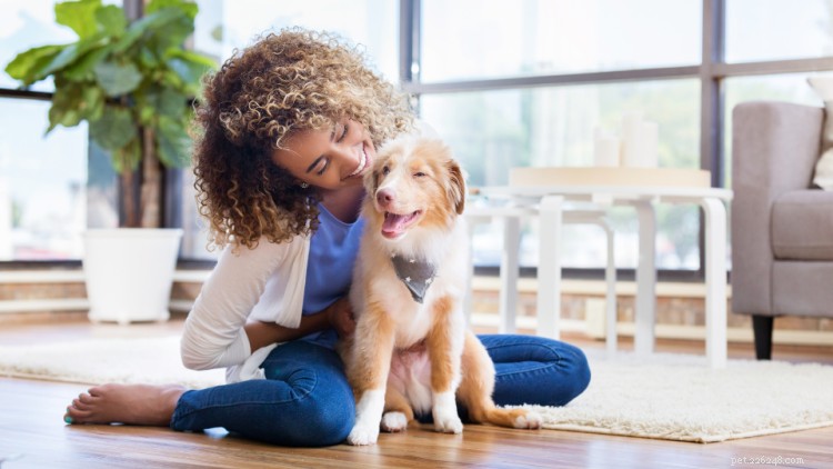 Complete Guide to Puppy-Proofing Your Home, Bedroom, Bathroom, and Yard: Safety Checklist