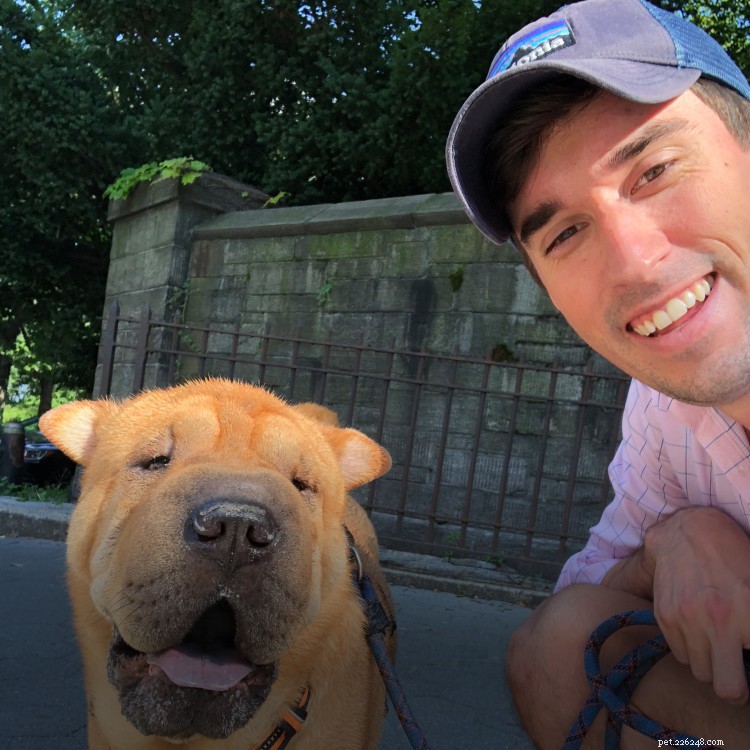 Why I Almost Skipped Pet Insurance—and the Unexpected Impact on My Shar‑Pei