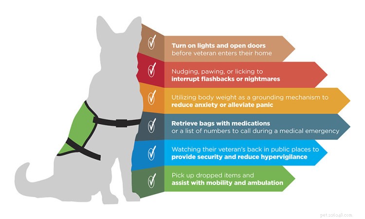 Top 5 Tax Deductions for Pet Owners in 2022: Save More on Pet Care Expenses