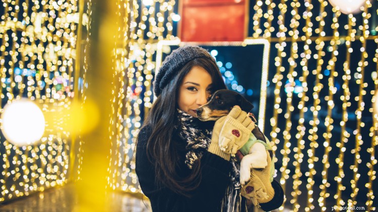 10 Health & Bonding Resolutions for You and Your Dog in 2024