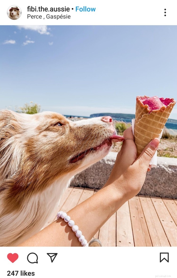 11 Heartwarming Dog Photos to Brighten Your Monday