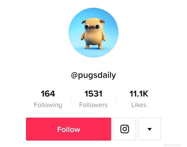 Laugh Out Loud: 8 Must-Follow Dog TikTok Accounts