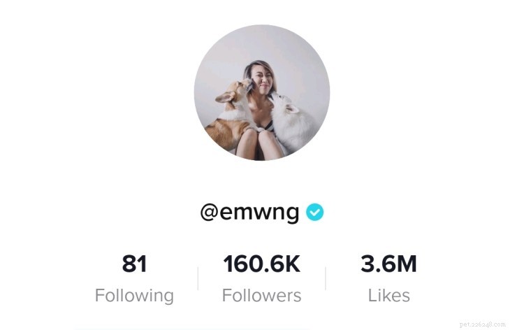 Laugh Out Loud: 8 Must-Follow Dog TikTok Accounts