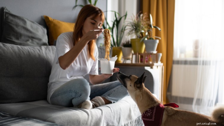Vet‑Approved Guide: Safe Foods for Dogs and Foods to Avoid