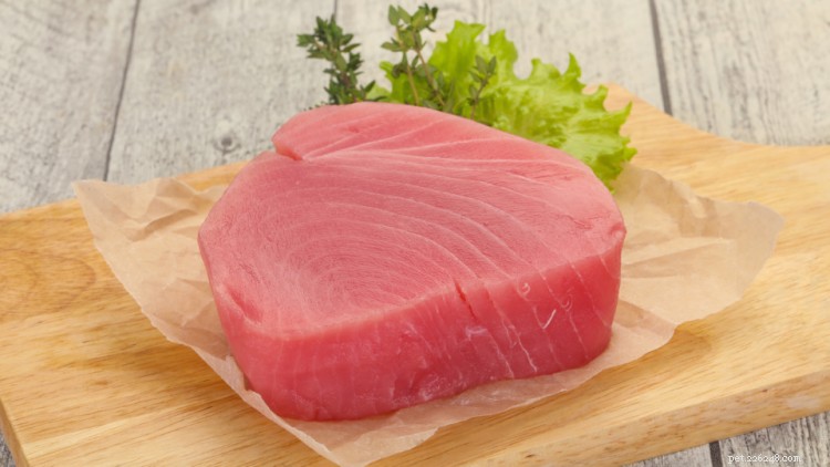 Is Tuna Safe for Dogs? Expert Guide on Feeding Your Pet Tuna
