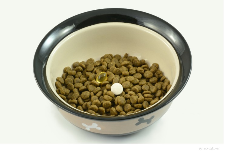 Glucosamine for Dogs: Benefits, Dosage, and Safety Guide