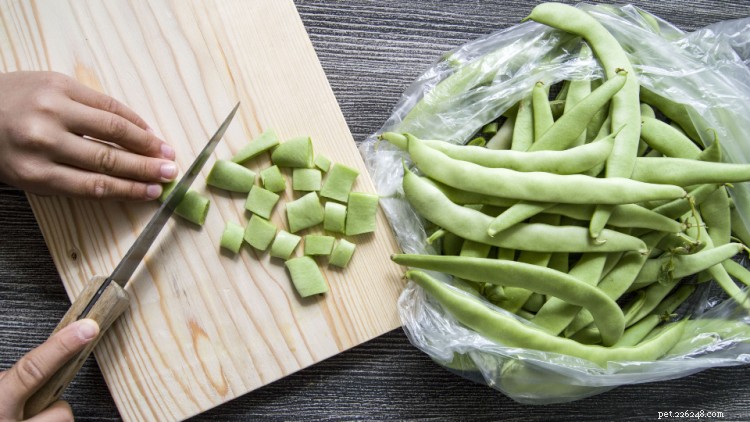 Green Beans for Dogs: Safety, Benefits, and Feeding Tips