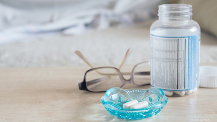 Melatonin for Dogs: Expert Guide to Uses, Dosage, and Safety