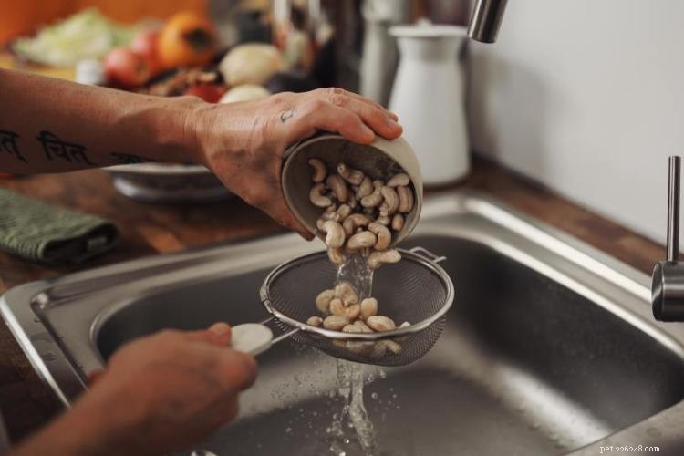 Are Cashews Safe for Dogs? Expert Guidance & Tips