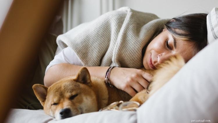 Carprofen for Dogs: Uses, Dosage, and Side Effects Explained