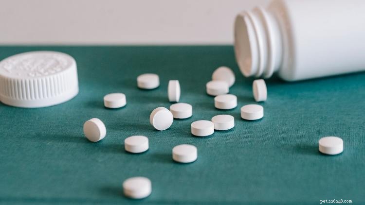 Carprofen for Dogs: Uses, Dosage, and Side Effects Explained