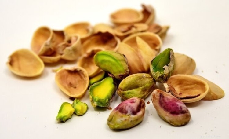 Can Dogs Safely Eat Pistachios? Risks and Benefits Explained
