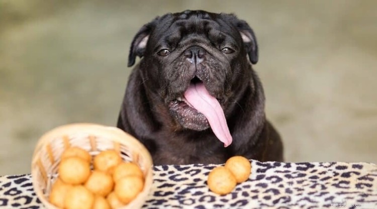 Can Dogs Safely Eat Potatoes? A Comprehensive Guide
