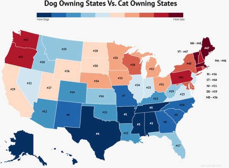 U.S. Pet Ownership by State: 2020 Stats & Trends