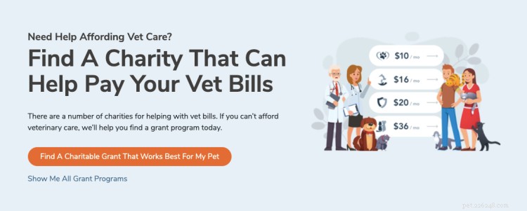 Affordable Pet Care: Smart Savings Tips for 2022