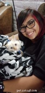 Puff the Brave: A Rescue Kitten’s Remarkable Recovery