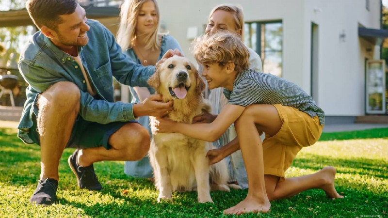 Choosing the Best Protein for Your Dog: Expert Nutrition Guide