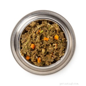 Choosing the Best Protein for Your Dog: Expert Nutrition Guide