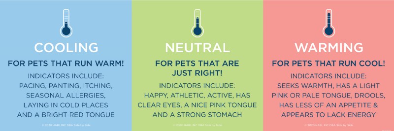 5 Proven Home Remedies to Ease Your Dog’s Seasonal Allergies