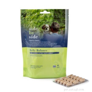 Expert Guide: Seamlessly Transition Your Dog to a New Diet