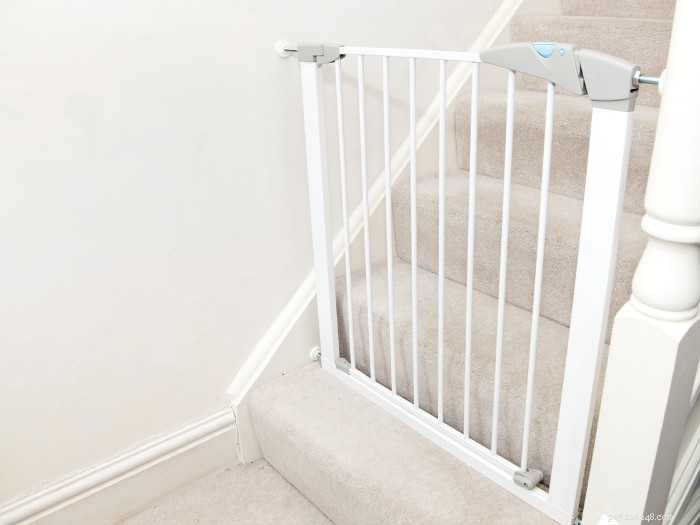 Choosing the Right Indoor Dog Gate: A Professional Guide