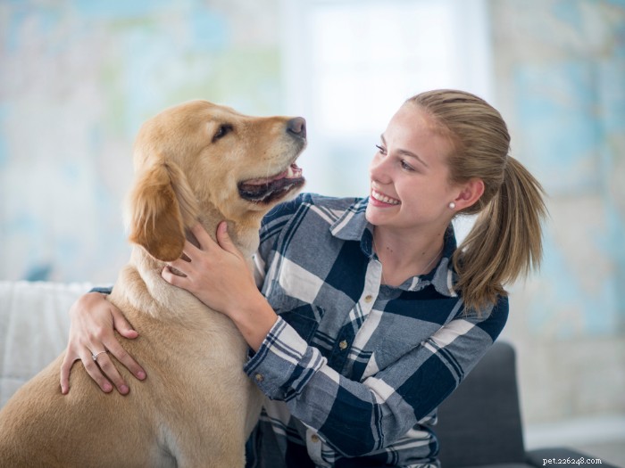 9 Key Habits for a Healthy Dog & Stronger Bond