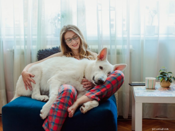 9 Key Habits for a Healthy Dog & Stronger Bond
